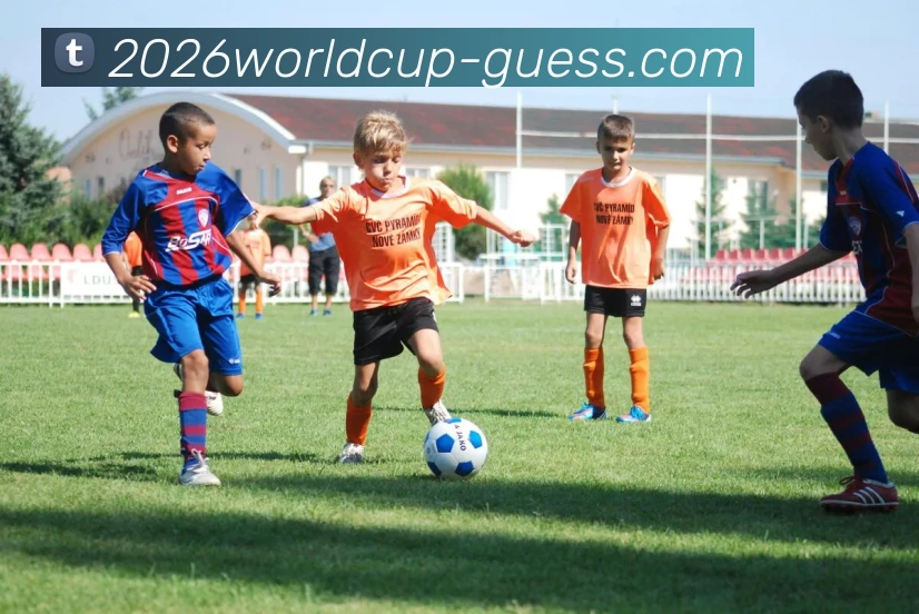 2026世界杯首选竞猜平台生态图